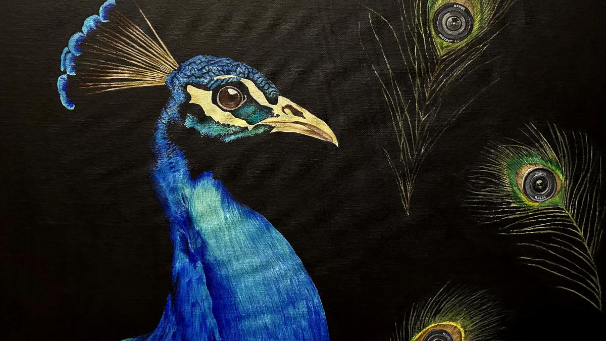 2023 Winning Artwork