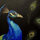 2023 Winning Artwork