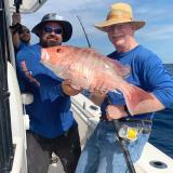 Red Snapper