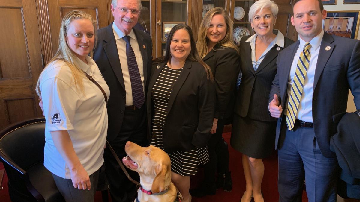 Rutherford with Constituents