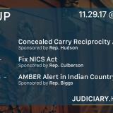 judiciary